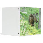 Moose Vinyl Binders