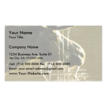 Moose Business Card Templates
