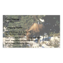 Moose Business Card Templates