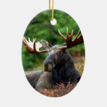 Moose Christmas Tree Ornaments