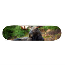 Moose Custom Skateboard