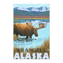Moose Drinking at Lake - Wrangell, Alaska Canvas Prints