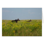 Moose Family Card