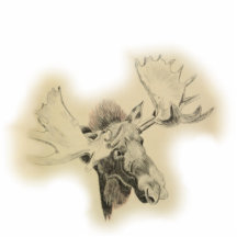 Moose Head Sketch Cut Out