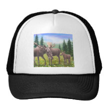 Moose in a Northern Forest Hat