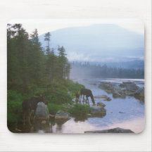 Moose in Evening Storm Mouse Pads