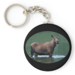 moose keychains
