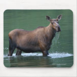 Moose Mouse Pad