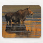 moose mouse pads