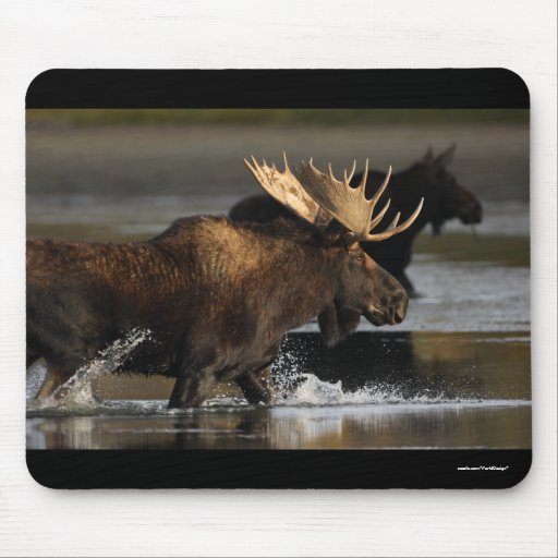 Moose Mouse Pads