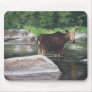 MOOSE MOUSEPADS