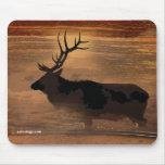 MOOSE mousepads