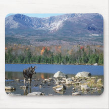 Moose Pad Mouse Pads
