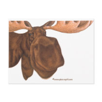 moose post cards