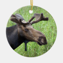Moose Products Christmas Tree Ornament