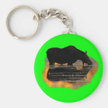 Moose & Reflections Keychains