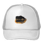 Moose & Reflections Mesh Hats