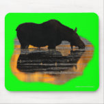 Moose & Reflections Mousepads