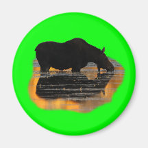 Moose & Reflections Refrigerator Magnets