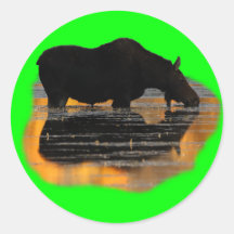 Moose & Reflections Round Sticker