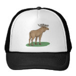 Moose Shirts and Gifts 114 Hat