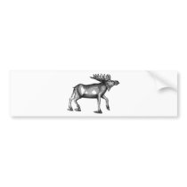 Moose Shirts and Gifts 115 Bumper Sticker
