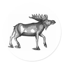 Moose Shirts and Gifts 115 Stickers