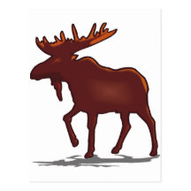 Moose Shirts and Gifts 129 Post Card