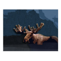 Moose Talk Postcard postcards
