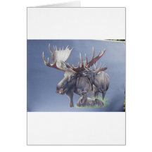 Moose Trio Card