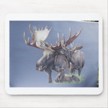 Moose Trio Mouse Pad