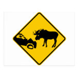 Moose Warning Sign from Gros Morne National Park postcards
