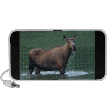 moose with water dripping iPhone speaker