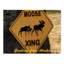 moosecrossing, Greetings from Alaska Postcard
