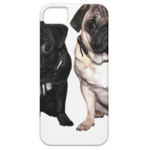 Mops Jack und Richi iPhone 5 Schutzhüllen