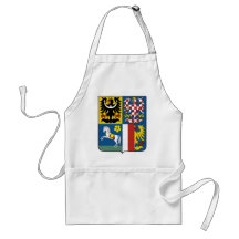 Moravian Silesian Region, Czech Apron