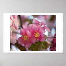 More Cherry Blossoms Posters
