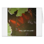 MORE FISH HUMOR cards