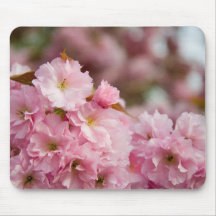 More Sakura Blossoms Mousepads