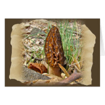 Morel Mushroom Greeting Cards
