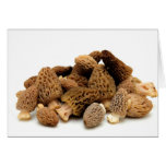 Morel Mushroom Greeting Cards
