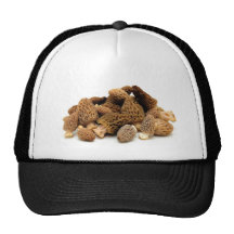 Morel Mushroom Hats