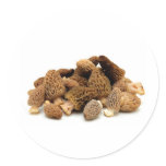 Morel Mushroom Round Sticker