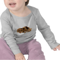 Morel Mushroom Tee Shirts