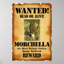 Morel - Wanted Dead or Alive Posters