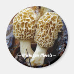 Morelles jaunes jumelles, Morels~ ~Michigan Magnets Pour Réfrigérateur