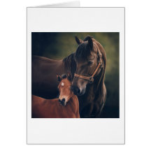 Morgan Mare and Foal Cards