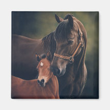 Morgan Mare and Foal Fridge Magnet