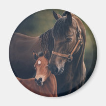 Morgan Mare and Foal Fridge Magnets