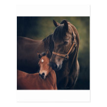 Morgan Mare and Foal Postcard